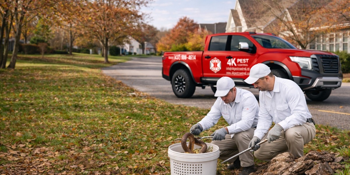 The Complete Guide to Professional Pest Control: Protecting Your Home and Business in 2026